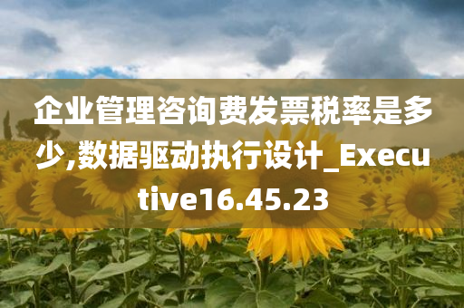 企业管理咨询费发票税率是多少,数据驱动执行设计_Executive16.45.23