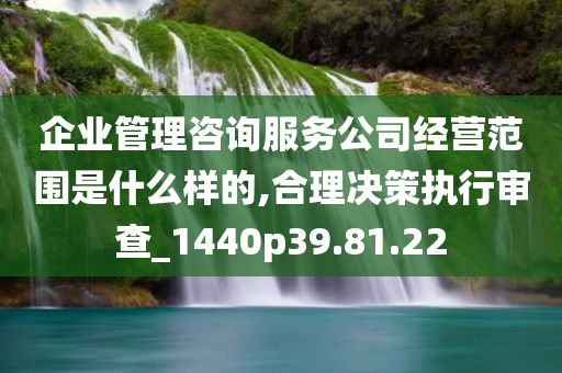 企业管理咨询服务公司经营范围是什么样的,合理决策执行审查_1440p39.81.22