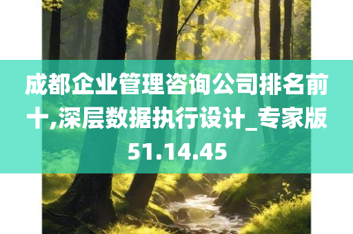 成都企业管理咨询公司排名前十,深层数据执行设计_专家版51.14.45