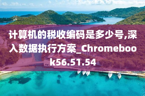 计算机的税收编码是多少号,深入数据执行方案_Chromebook56.51.54