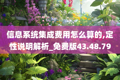 信息系统集成费用怎么算的,定性说明解析_免费版43.48.79