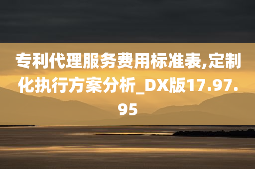 专利代理服务费用标准表,定制化执行方案分析_DX版17.97.95