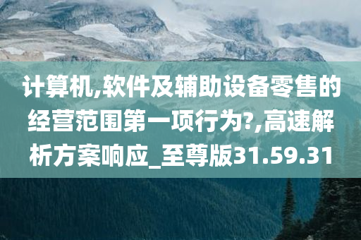 计算机,软件及辅助设备零售的经营范围第一项行为?,高速解析方案响应_至尊版31.59.31