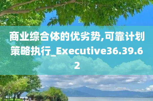 商业综合体的优劣势,可靠计划策略执行_Executive36.39.62