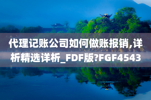 代理记账公司如何做账报销,详析精选详析_FDF版?FGF4543