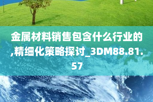 金属材料销售包含什么行业的,精细化策略探讨_3DM88.81.57