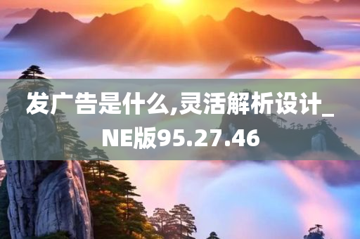 发广告是什么,灵活解析设计_NE版95.27.46