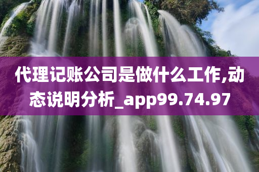 代理记账公司是做什么工作,动态说明分析_app99.74.97