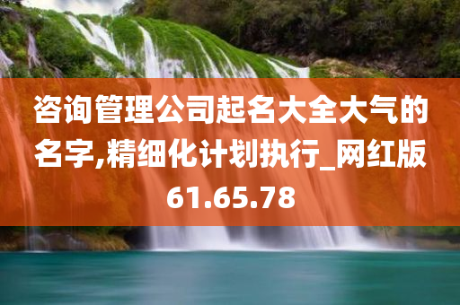 咨询管理公司起名大全大气的名字,精细化计划执行_网红版61.65.78