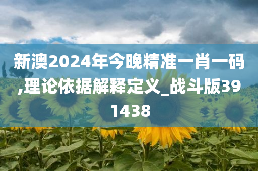 新澳2024年今晚精准一肖一码,理论依据解释定义_战斗版391438