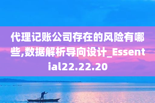 代理记账公司存在的风险有哪些,数据解析导向设计_Essential22.22.20