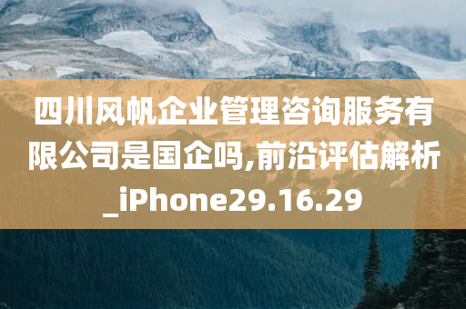 四川风帆企业管理咨询服务有限公司是国企吗,前沿评估解析_iPhone29.16.29