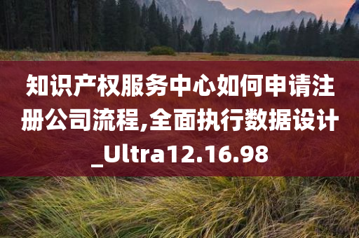 知识产权服务中心如何申请注册公司流程,全面执行数据设计_Ultra12.16.98