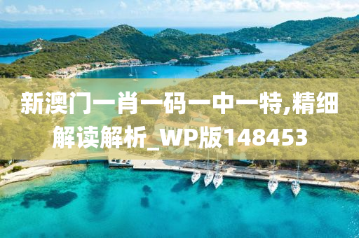 新澳门一肖一码一中一特,精细解读解析_WP版148453