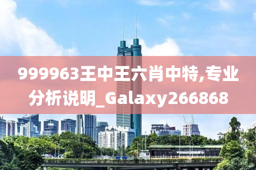 999963王中王六肖中特,专业分析说明_Galaxy266868