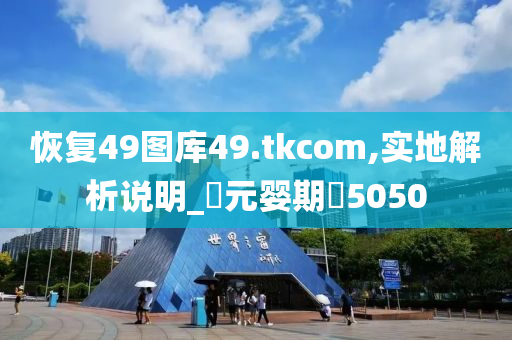 恢复49图库49.tkcom,实地解析说明_?元婴期?5050