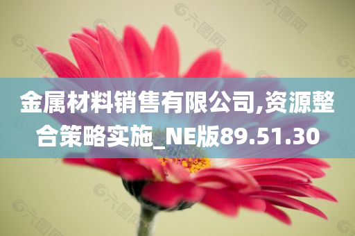 金属材料销售有限公司,资源整合策略实施_NE版89.51.30