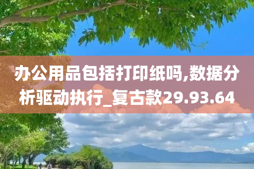 办公用品包括打印纸吗,数据分析驱动执行_复古款29.93.64