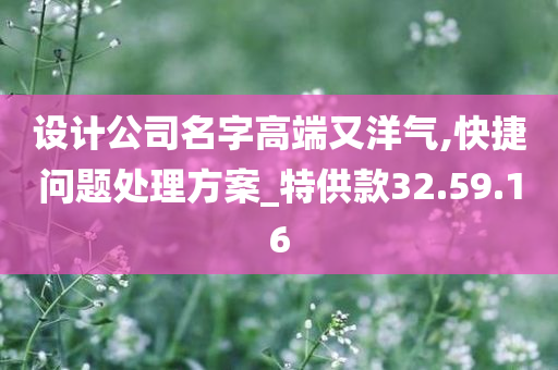 设计公司名字高端又洋气,快捷问题处理方案_特供款32.59.16