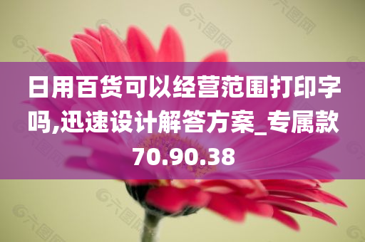 日用百货可以经营范围打印字吗,迅速设计解答方案_专属款70.90.38