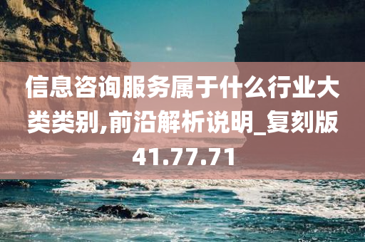 信息咨询服务属于什么行业大类类别,前沿解析说明_复刻版41.77.71