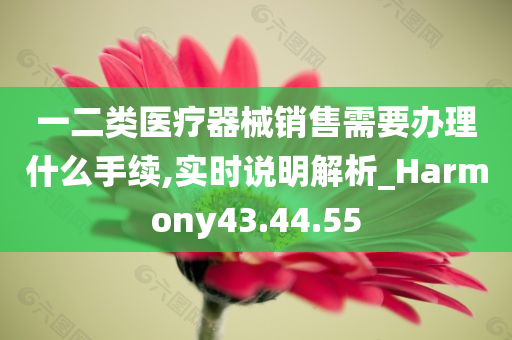 一二类医疗器械销售需要办理什么手续,实时说明解析_Harmony43.44.55