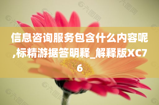 信息咨询服务包含什么内容呢,标精游据答明释_解释版XC76