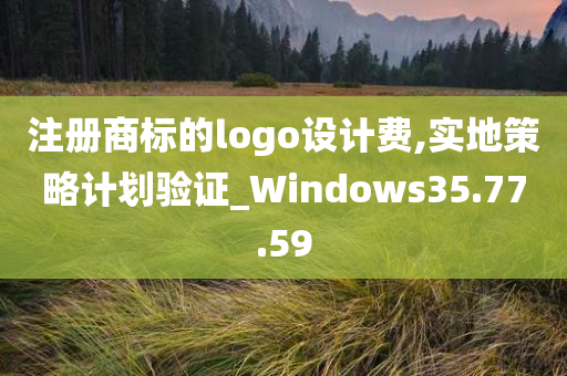 注册商标的logo设计费,实地策略计划验证_Windows35.77.59