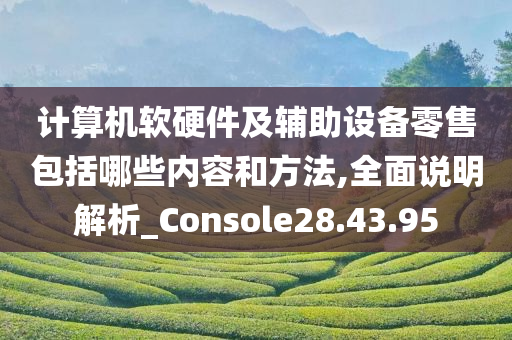 计算机软硬件及辅助设备零售包括哪些内容和方法,全面说明解析_Console28.43.95