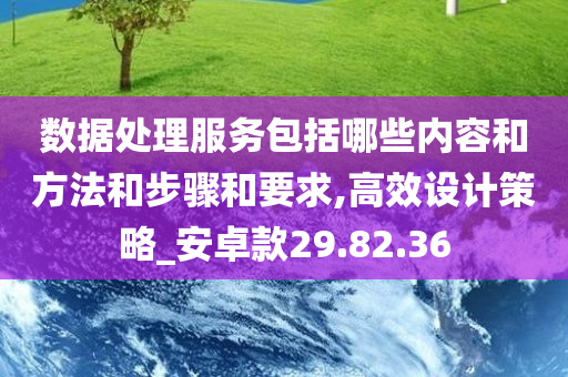 数据处理服务包括哪些内容和方法和步骤和要求,高效设计策略_安卓款29.82.36