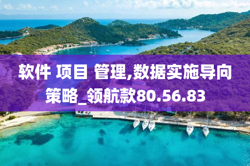 软件 项目 管理,数据实施导向策略_领航款80.56.83