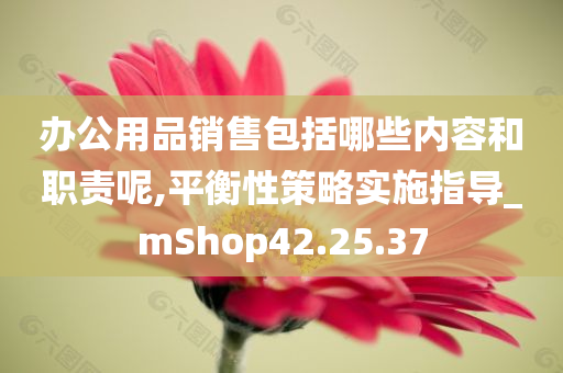 办公用品销售包括哪些内容和职责呢,平衡性策略实施指导_mShop42.25.37