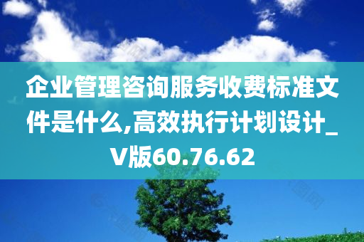 企业管理咨询服务收费标准文件是什么,高效执行计划设计_V版60.76.62