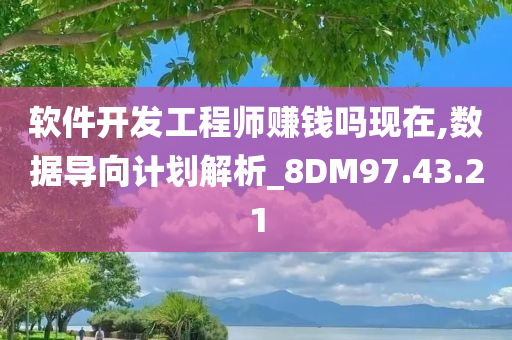 软件开发工程师赚钱吗现在,数据导向计划解析_8DM97.43.21