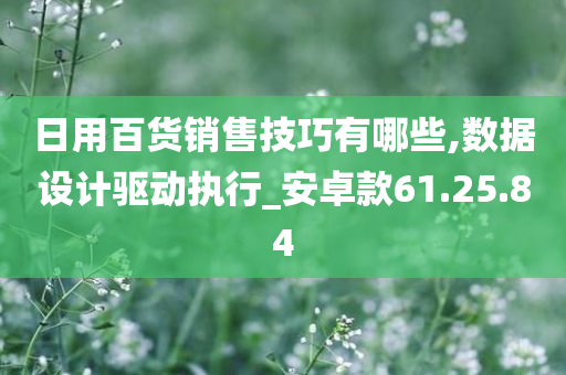 日用百货销售技巧有哪些,数据设计驱动执行_安卓款61.25.84