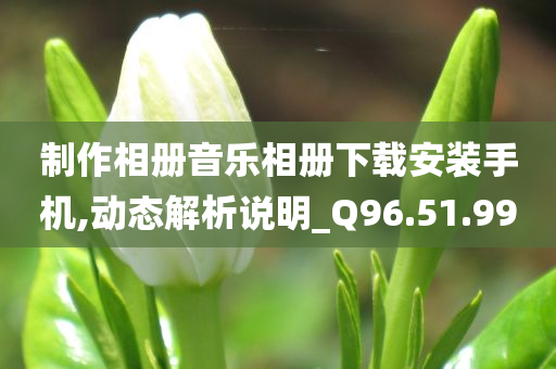 制作相册音乐相册下载安装手机,动态解析说明_Q96.51.99