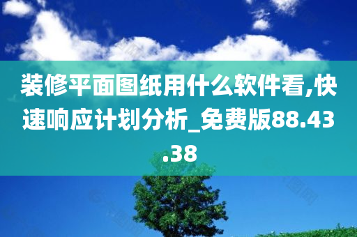 装修平面图纸用什么软件看,快速响应计划分析_免费版88.43.38