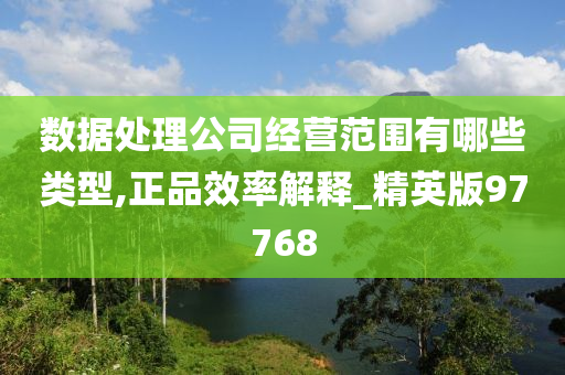 数据处理公司经营范围有哪些类型,正品效率解释_精英版97768