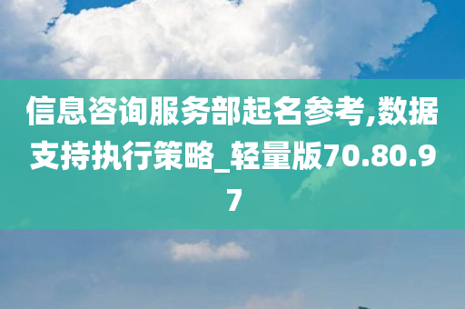 信息咨询服务部起名参考,数据支持执行策略_轻量版70.80.97