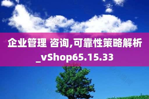 企业管理 咨询,可靠性策略解析_vShop65.15.33