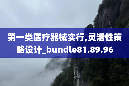 第一类医疗器械实行,灵活性策略设计_bundle81.89.96