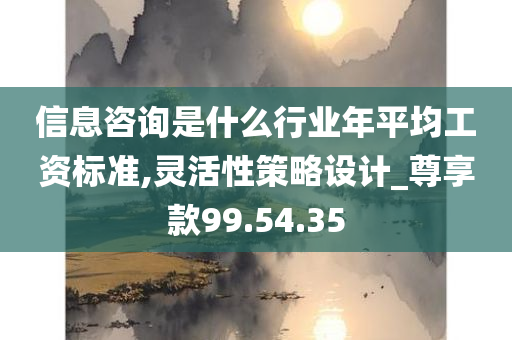 信息咨询是什么行业年平均工资标准,灵活性策略设计_尊享款99.54.35