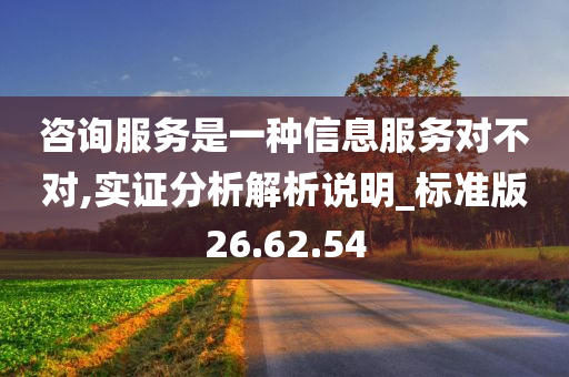 咨询服务是一种信息服务对不对,实证分析解析说明_标准版26.62.54