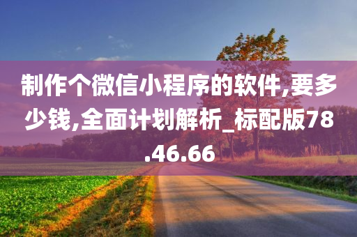 制作个微信小程序的软件,要多少钱,全面计划解析_标配版78.46.66