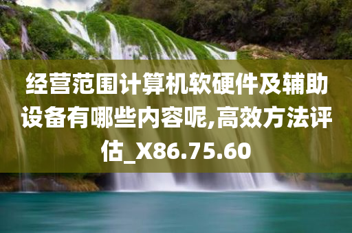 经营范围计算机软硬件及辅助设备有哪些内容呢,高效方法评估_X86.75.60