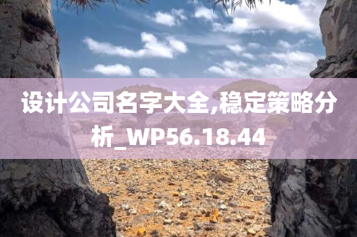 设计公司名字大全,稳定策略分析_WP56.18.44