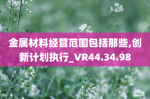 金属材料经营范围包括那些,创新计划执行_VR44.34.98