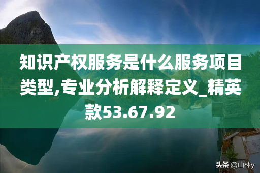 知识产权服务是什么服务项目类型,专业分析解释定义_精英款53.67.92