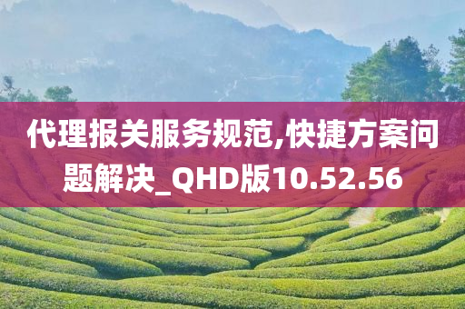 代理报关服务规范,快捷方案问题解决_QHD版10.52.56