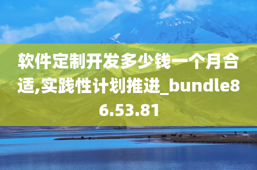 软件定制开发多少钱一个月合适,实践性计划推进_bundle86.53.81